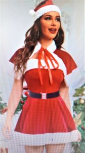 Adult Female Costumes to Hire - Sexy Santa Dress - SHORT - SMALL